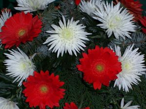 Kranz mit Gerbera und Chrysantheme (2)
